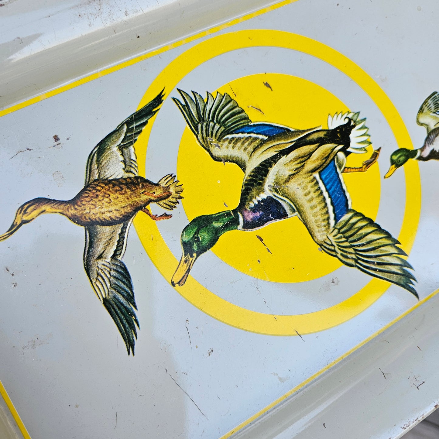 Vintage Bird Bundle