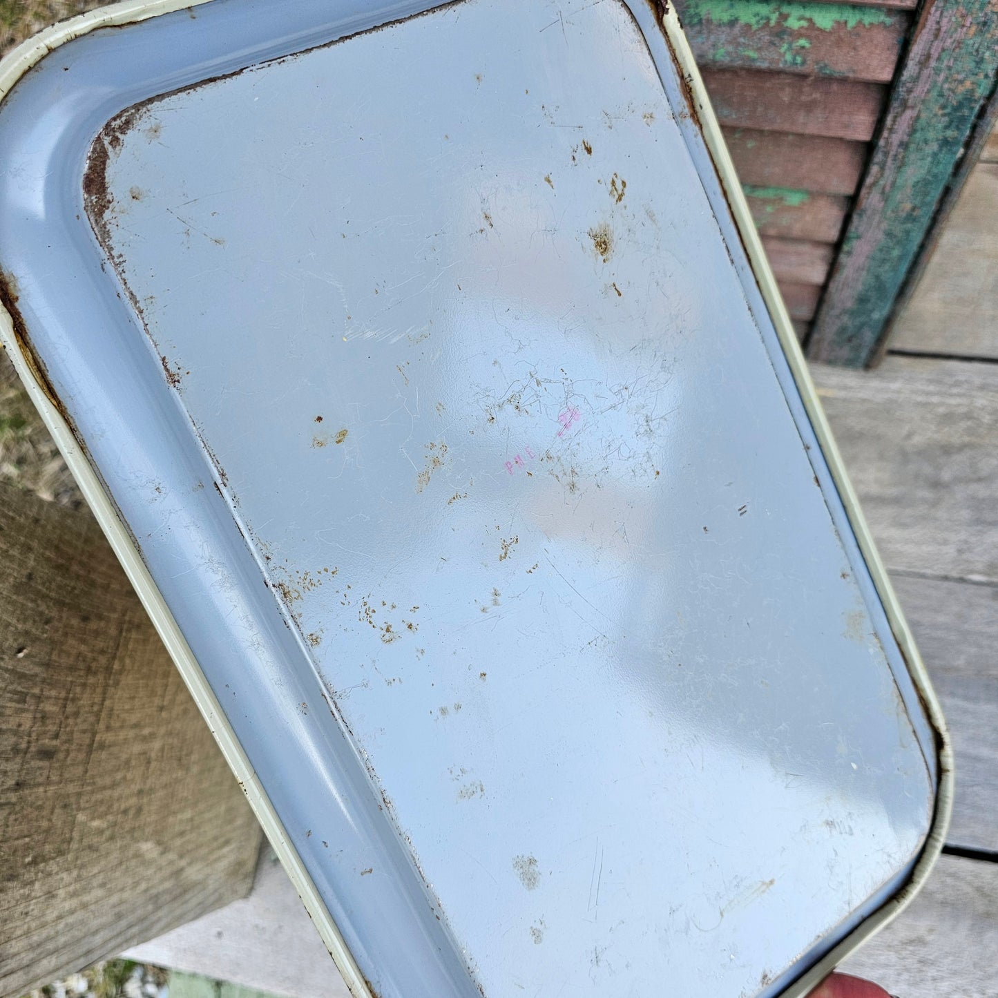 Vintage Bird Bundle