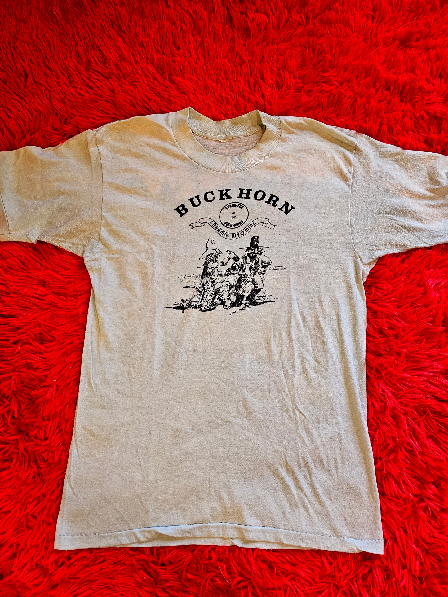 60s/70s Backhorn Stampede Laramie, Wyoming" Tee (S)