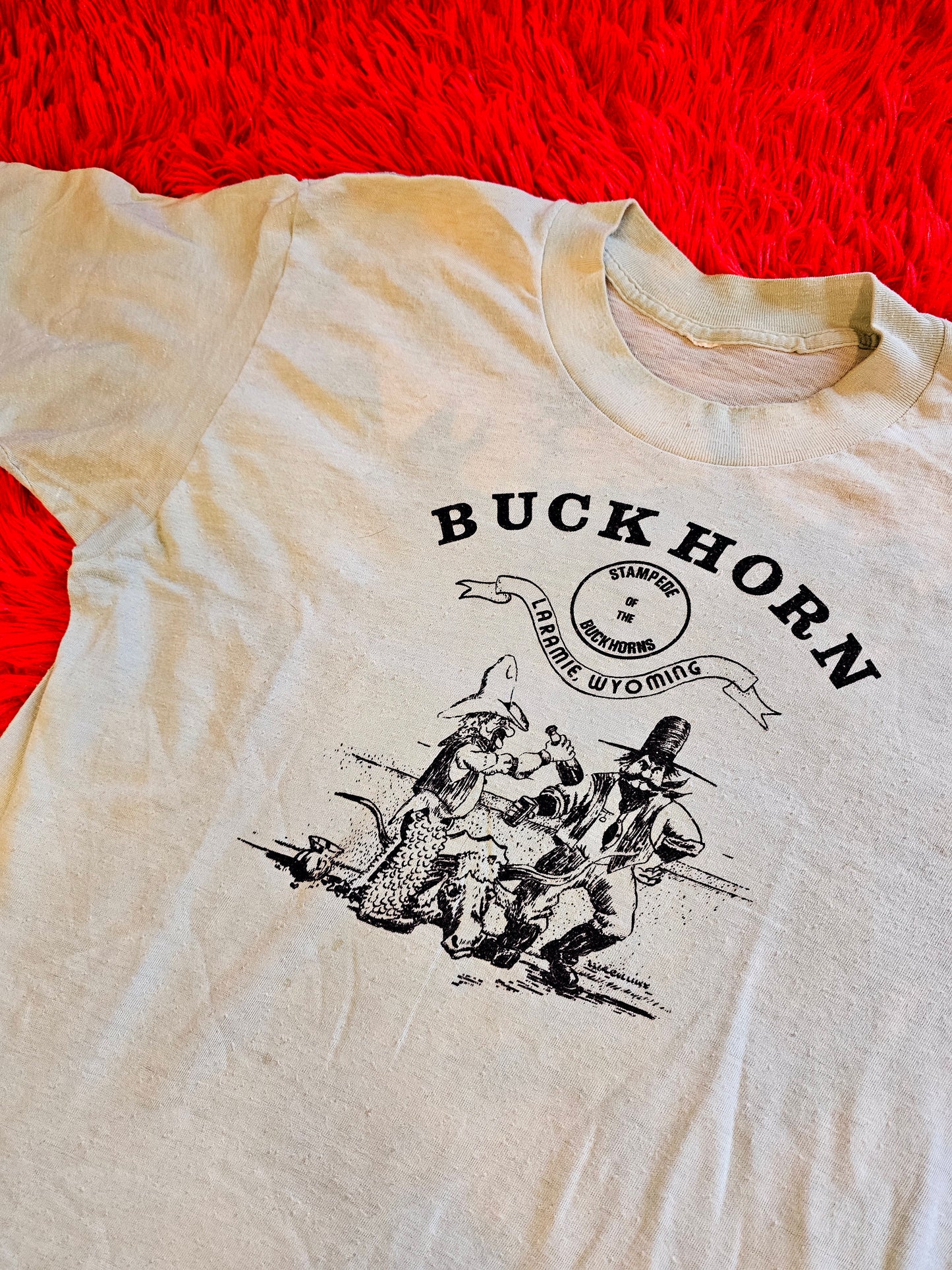 60s/70s Backhorn Stampede Laramie, Wyoming" Tee (S)