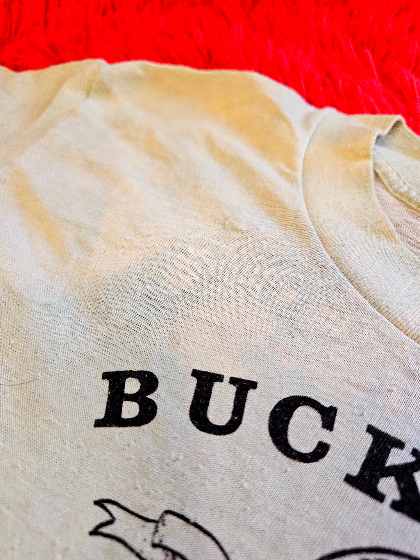 60s/70s Backhorn Stampede Laramie, Wyoming" Tee (S)