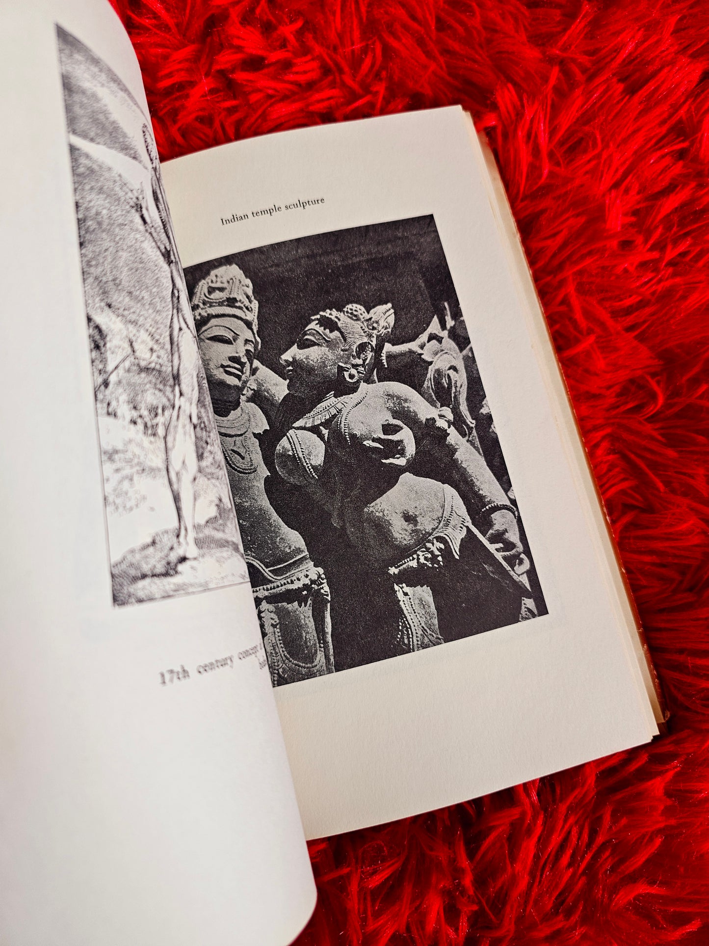 1972 "Astrology and Sexual Analysis" Book