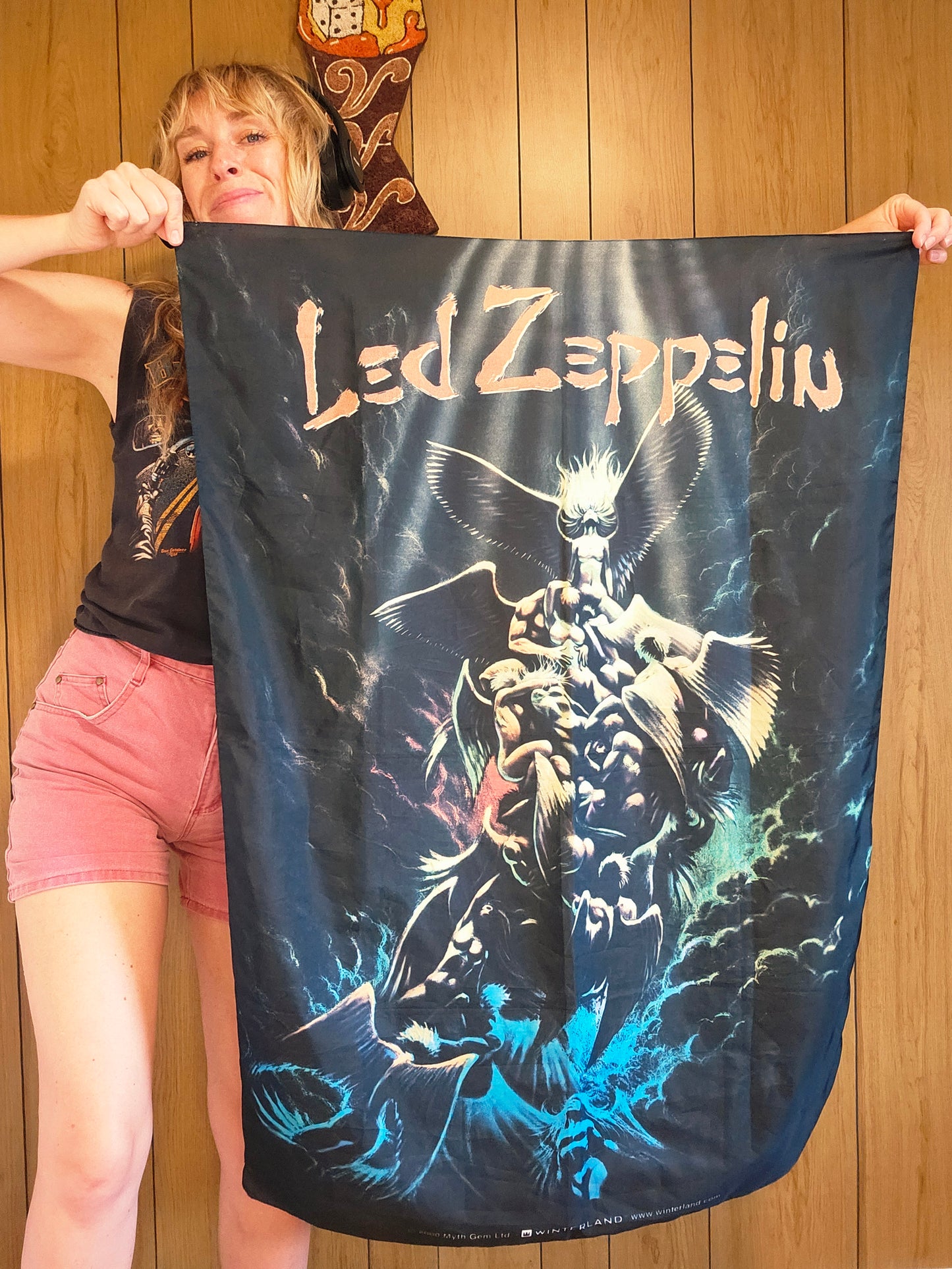 Y2K 2000 Led Zeppelin Tapestry/Fabric Poster