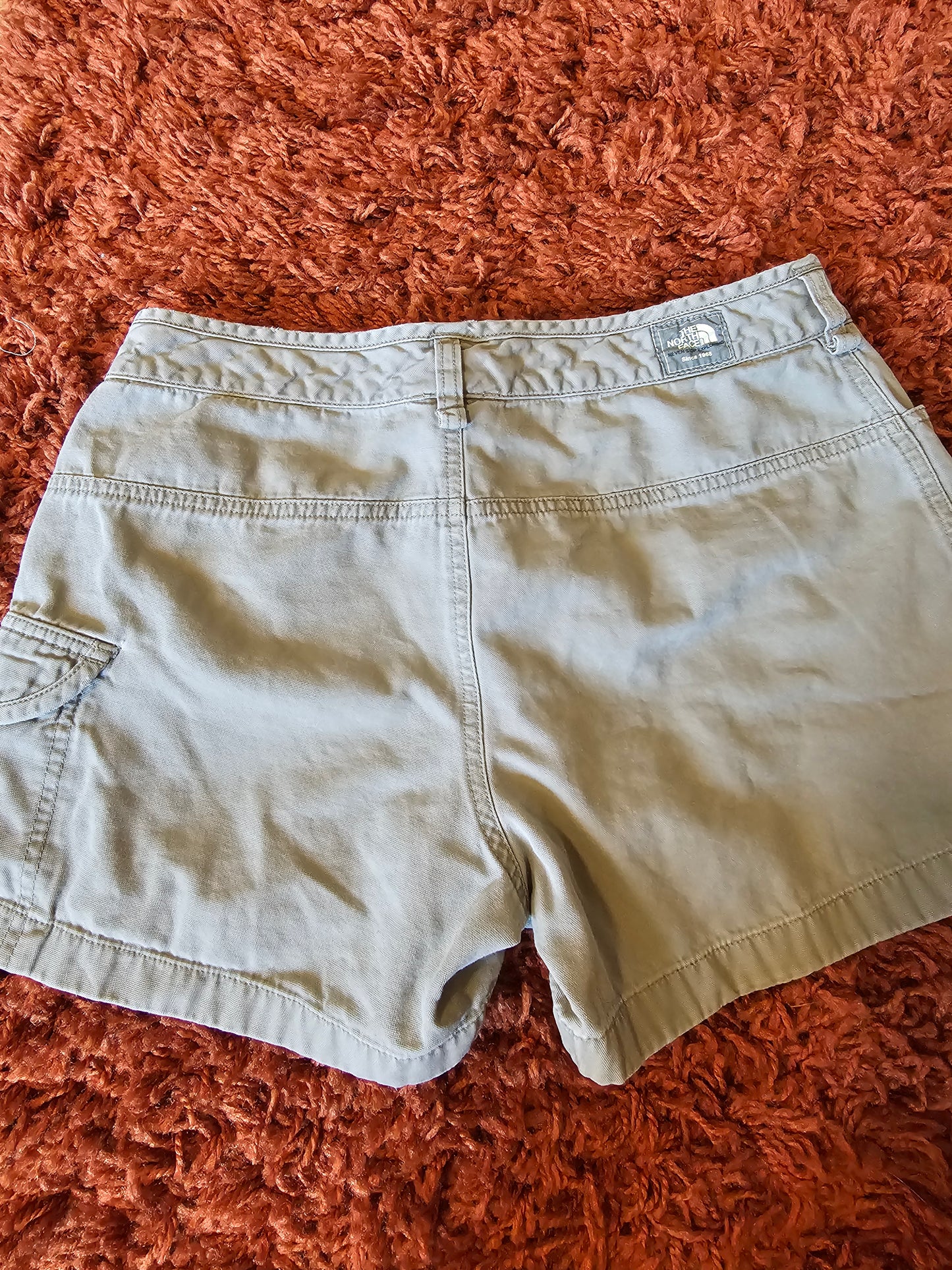 Y2K North Face Shorts (M)