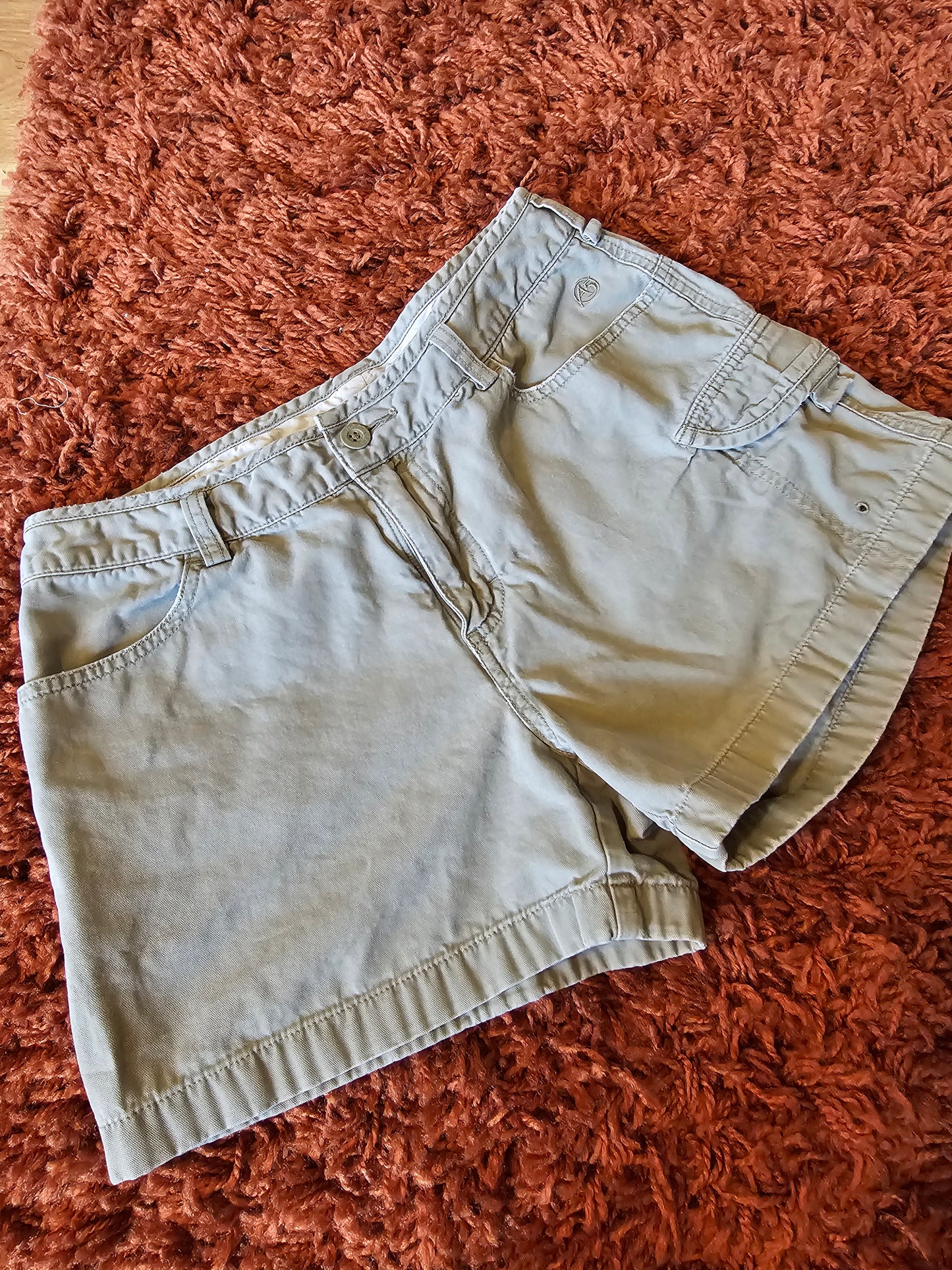 Y2K North Face Shorts (M)